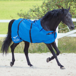 Couverture pour cheval