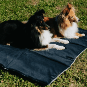 COUSSIN Récupération régénérant Wil