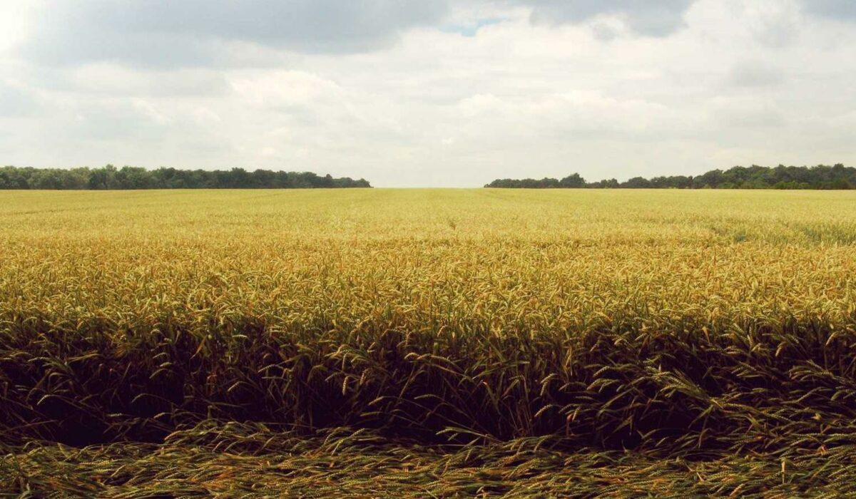 Illustration - Bursite trochantérienne : douleur hanche sur le côté (guide)