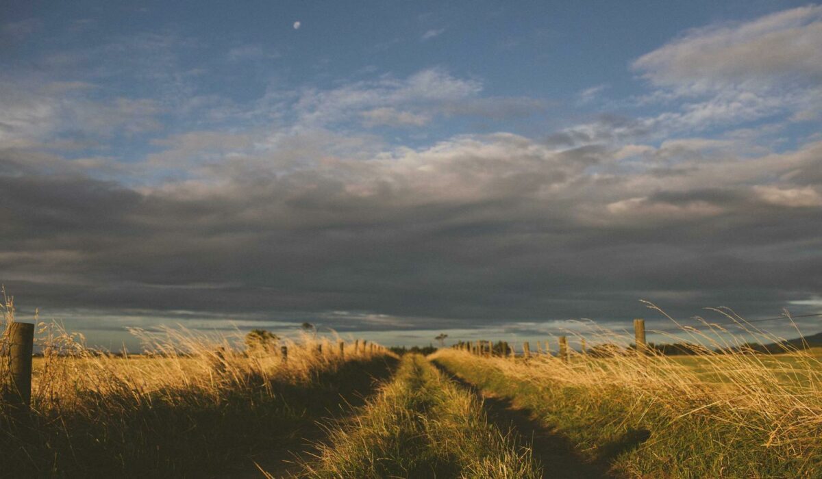 Illustration - Canal carpien : les signes qu’on ignore trop longtemps