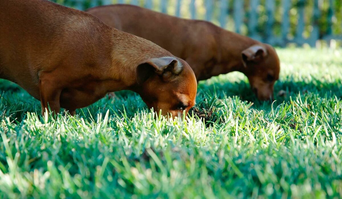 Illustration - Cervicalgie : nuque bloquée au réveil, quoi faire ?