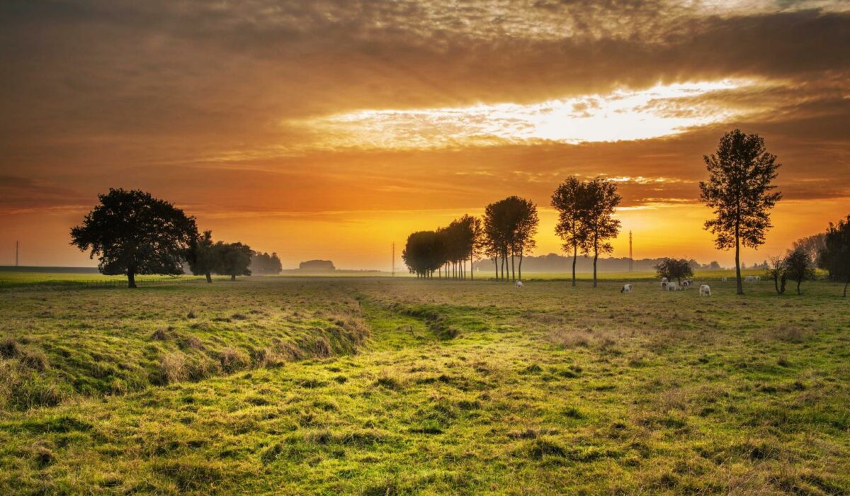 Illustration - Costochondrite : douleur thoracique bénigne mais stressante