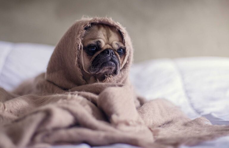 Douleur chronique du dos : plan 14 jours réaliste