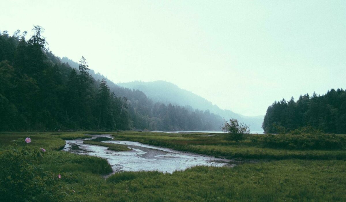 Illustration - Douleur poignet écran/souris : routine anti-tension