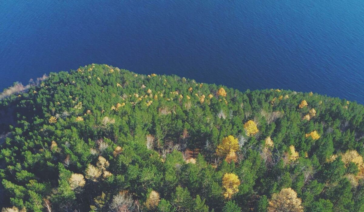 Illustration - Douleur sacro-iliaque : le faux mal de dos méconnu