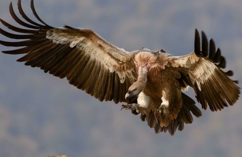 Maux de tête de tension : nuque + respiration + routine