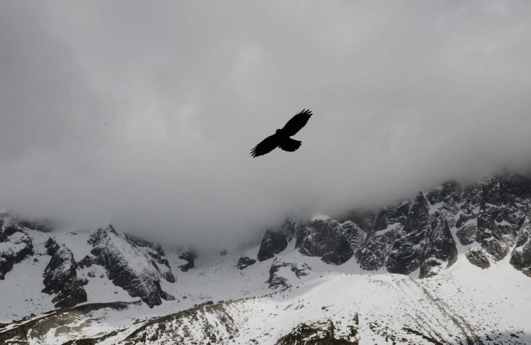 Récupération après sport : routine du soir qui change tout
