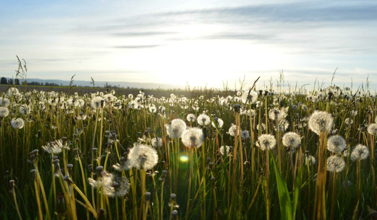 Illustration - Réveils nocturnes : pourquoi le corps ne déconnecte pas