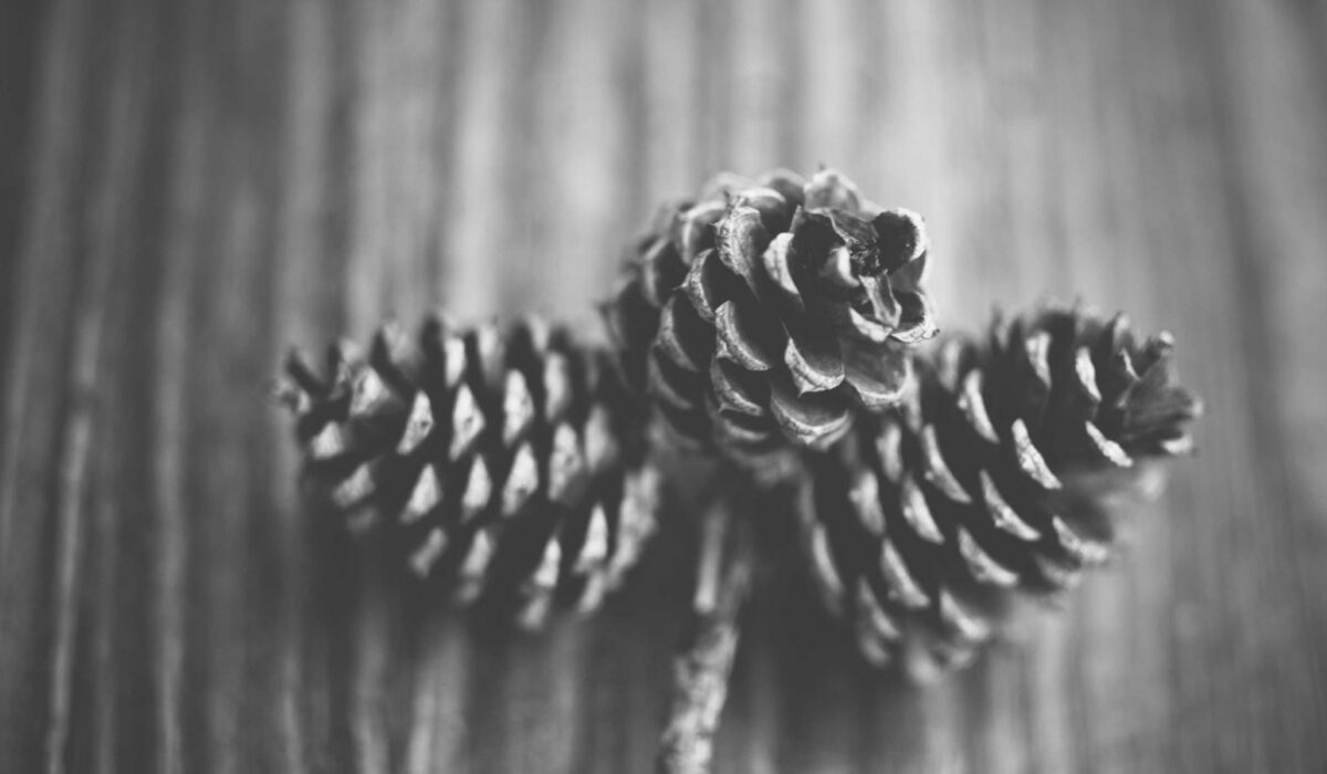 Illustration - Rhizarthrose : protéger le pouce au quotidien