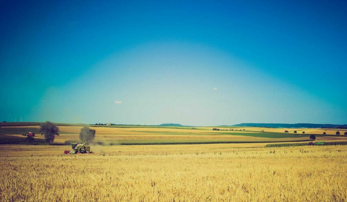 Illustration - Seins douloureux : maintien doux et posture