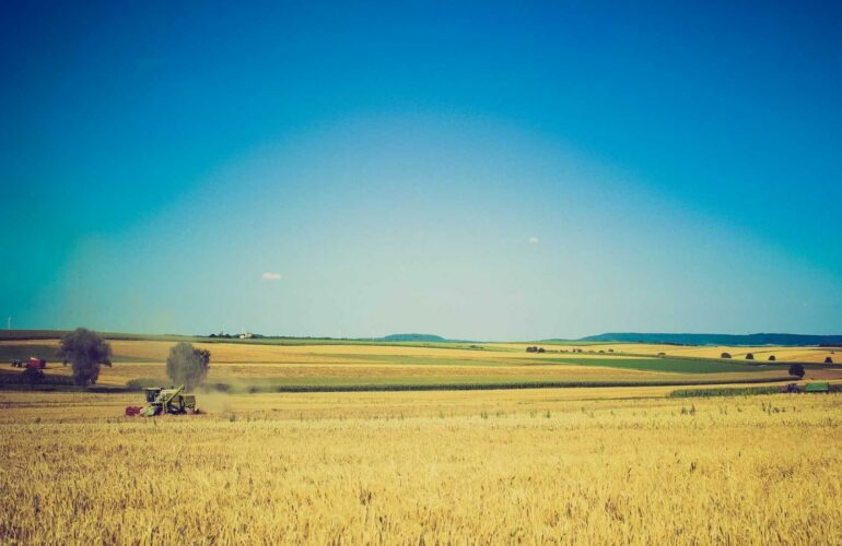 Seins douloureux : maintien doux et posture