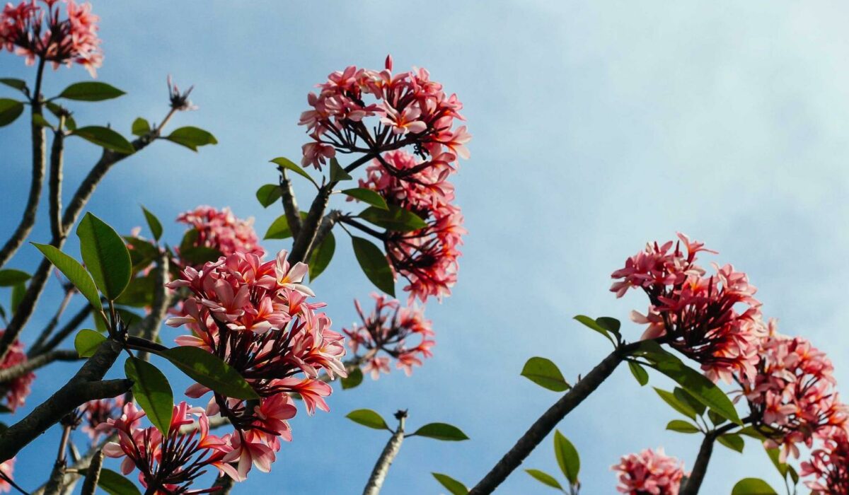 Illustration - Stress et douleurs diffuses : relâcher sans forcer