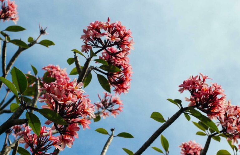 Stress et douleurs diffuses : relâcher sans forcer